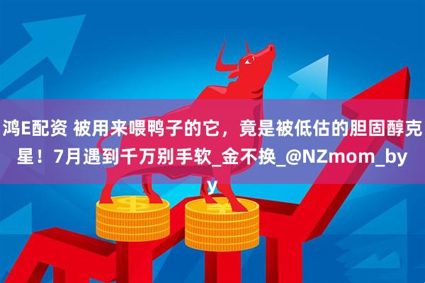 鸿E配资 被用来喂鸭子的它，竟是被低估的胆固醇克星！7月遇到千万别手软_金不换_@NZmom_by