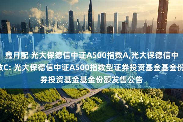 鑫月配 光大保德信中证A500指数A,光大保德信中证A500指数C: 光大保德信中证A500指数型证券投资基金基金份额发售公告