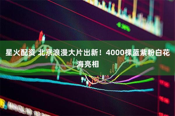 星火配资 北京浪漫大片出新！4000棵蓝紫粉白花海亮相